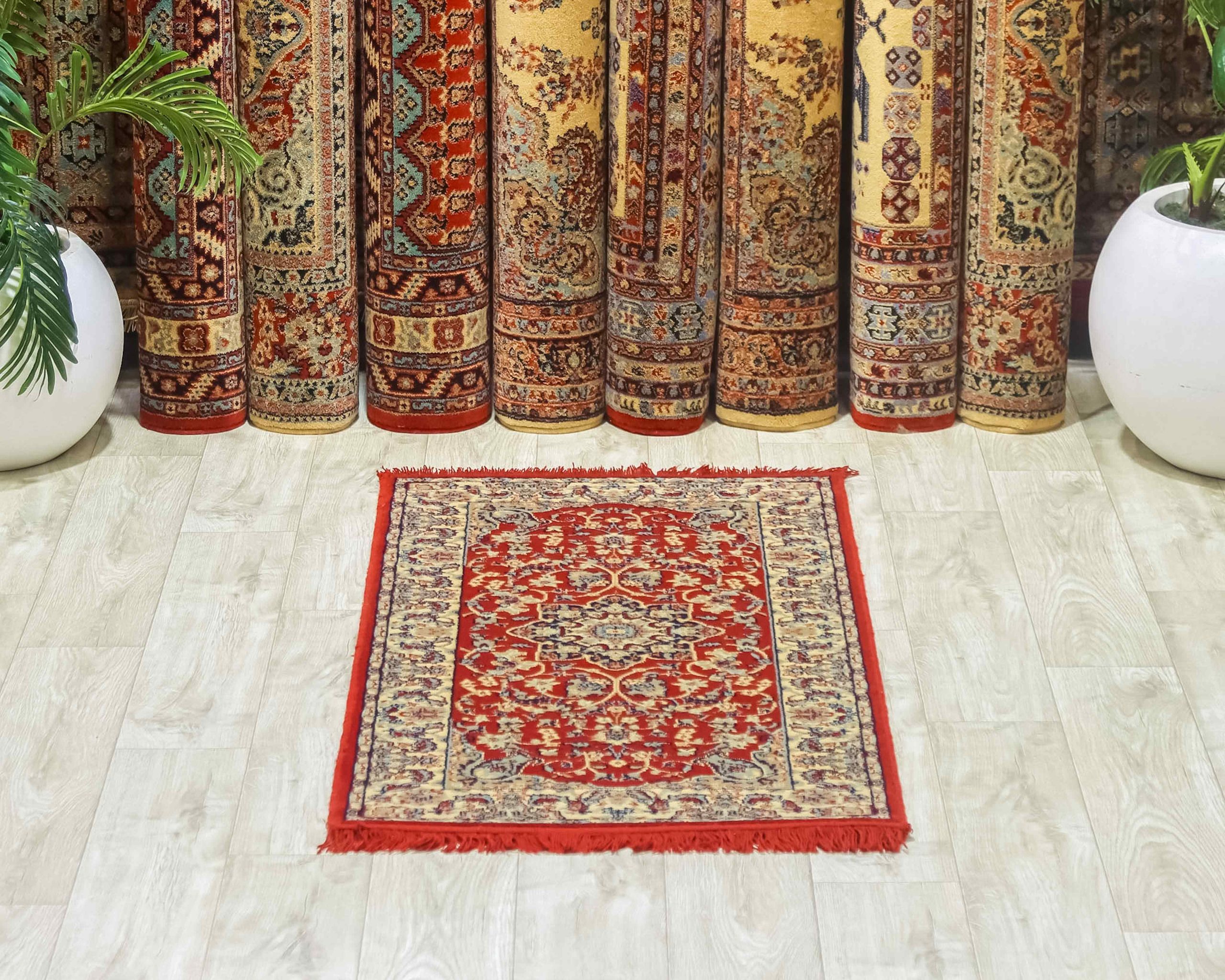 sharara_165_1-scaled