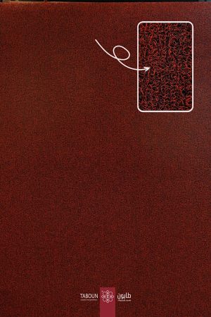 ممرات سيليكون